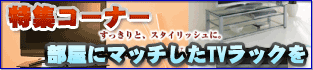 �͵��������վ��ƥ�Ӥ��緿�ץ饺�ޥƥ���ѤΥ�å��Ǥ���